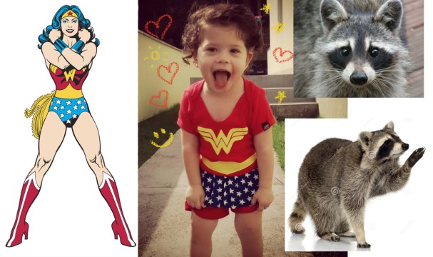 MaluMaravilha BLOG referencia