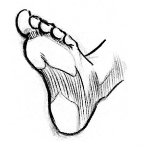 006_Blenda_Estudo Pes_web