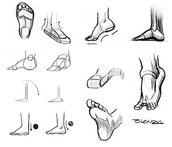 Blenda_Estudo Pes_web